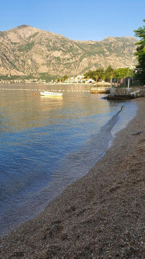 Viva House Villa Kotor Ngoại thất bức ảnh