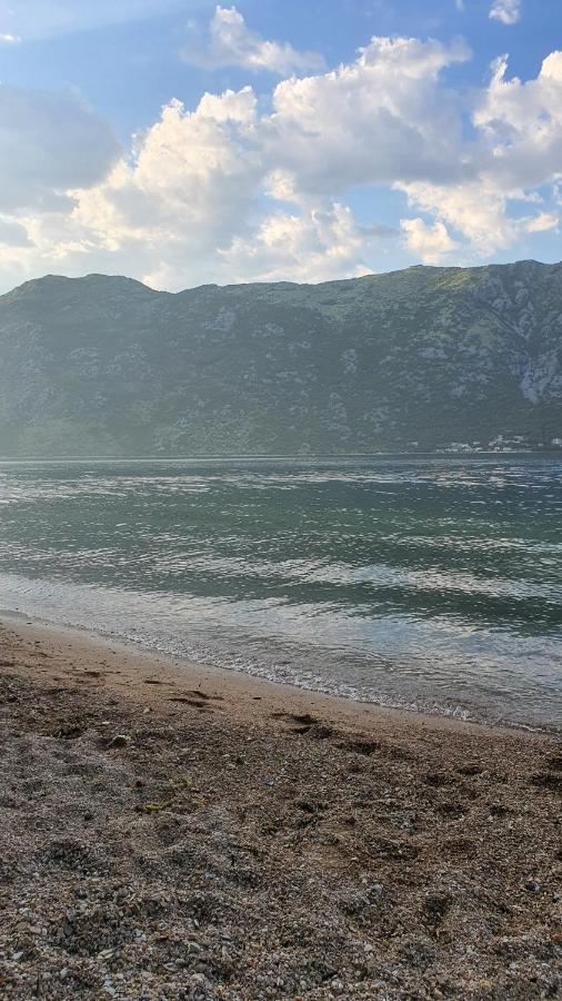 Viva House Villa Kotor Ngoại thất bức ảnh