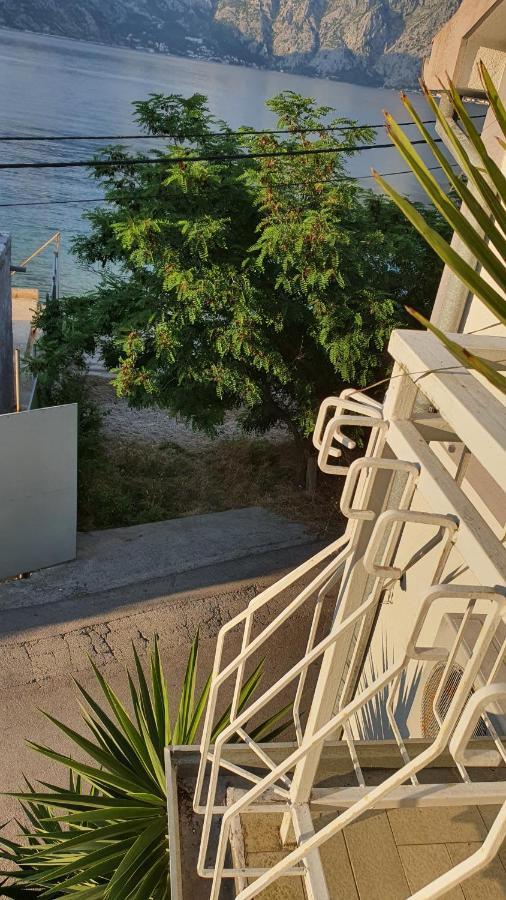 Viva House Villa Kotor Ngoại thất bức ảnh