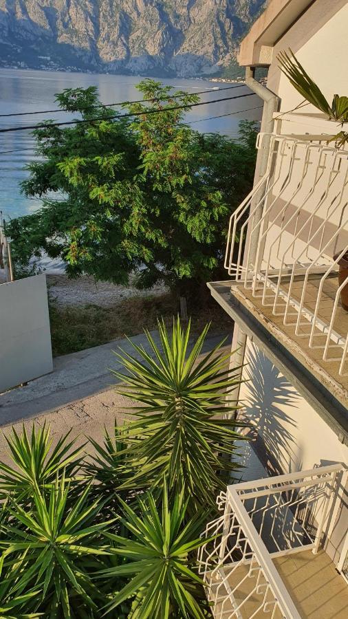 Viva House Villa Kotor Ngoại thất bức ảnh