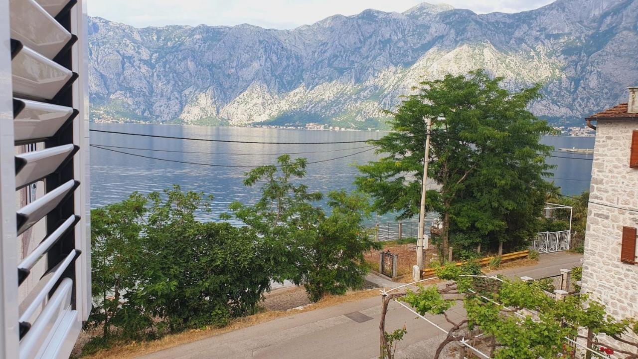 Viva House Villa Kotor Ngoại thất bức ảnh