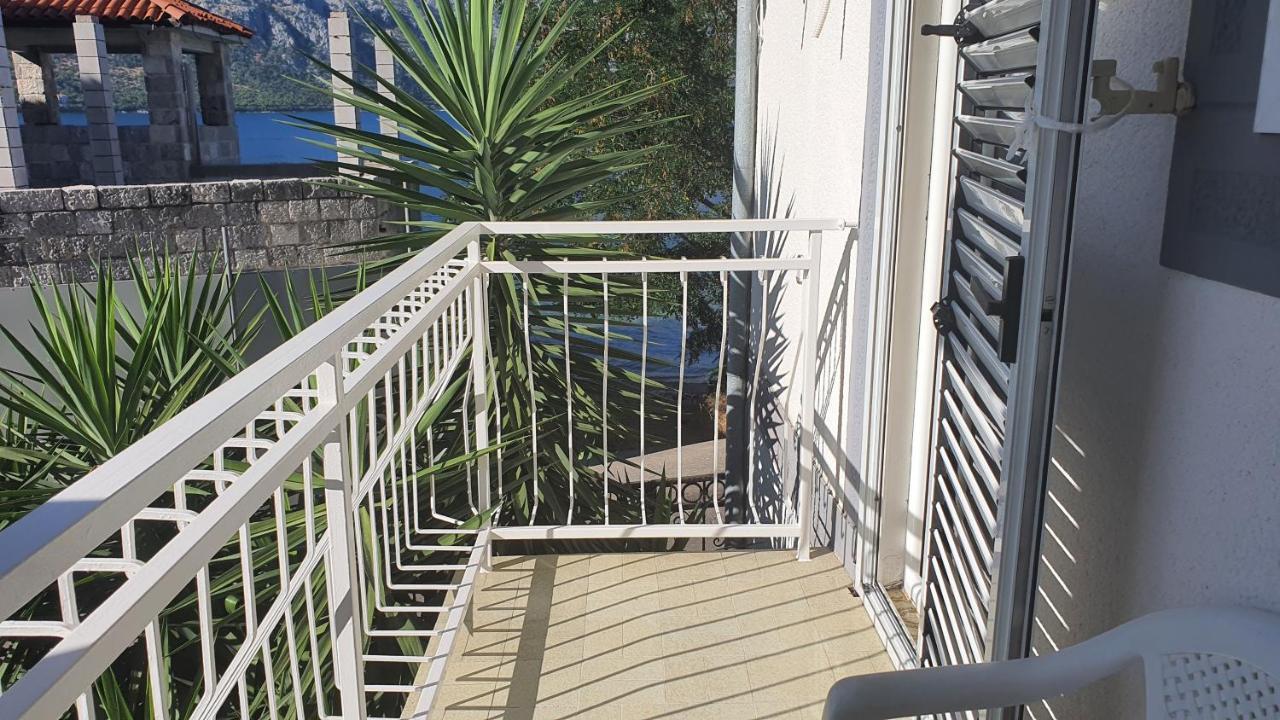 Viva House Villa Kotor Ngoại thất bức ảnh